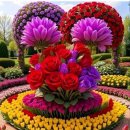 행복한의료기 이미지