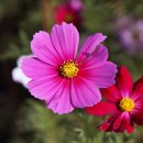 구리한강시민공원 이미지