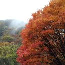 백암산 단풍산행(남창골~장성새재~순창새재~상왕봉~백학봉~백양사) 이미지