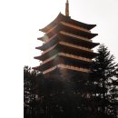 진울트라 사운드코리아 | 기대한 만큼 다르다! 르노 필랑트 하이브리드 직접 타보니 어떤 매력이?