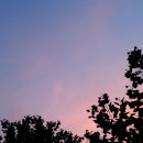 하마낚시터 이미지