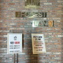 돌산배드민턴장(숲길) | 여수돌산에 이런 카페가? : 더 포레스트랜드 아이랑 다녀온 후기