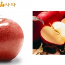 햇살찬농장 이미지