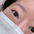 하단동141 | 부산 사하구 대티역근처 속눈썹펌 &amp; 피부재생관리 세멘시트 재방문리뷰 [ 포레스트뷰티 ]