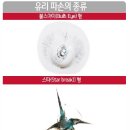 하남자동차유리 이미지