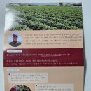 선명농장 | 💜 건강을 위해 챙겨본 비트즙, 우솔농장 레드 비트즙 솔직 후기