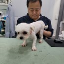 메디유미 이미지