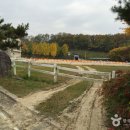 [전라북도 전주시] 홈플러스 전북전주