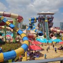 명성 바른자세 태권도 이미지