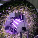 신기도넛츠 이미지