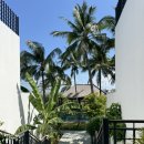 솔솔하우스 | 누사페니다 숙소 추천, 더 세발리 페니다 비치 리조트 트리하우스