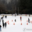 트럼프부동산중개 이미지