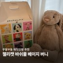 귀로카 | 젤리캣 애착인형 버니 XL 휴즈 사이즈 세탁 가격 구매 후기