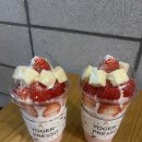 요거프레소송악복운점