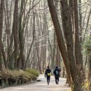 210116 | 다대포 몰운대 트래킹