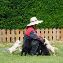 올림푸스원 이미지