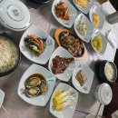 미담애견샵 이미지