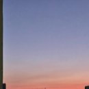 꽈배기패밀리 | 제주 DAY 1 무지개렌트카 스타벅스 동백수목원 백한철꽈배기실패 함덕해수욕장 오드랑베이커리 흑돼지초원