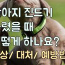 햇님온누리약국 이미지