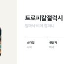 라임코코넛컴퍼니 네이버블로그