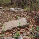 선부동 지석묘군 이미지