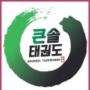 큰솔 태권도 이미지