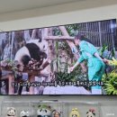 척척약국 이미지