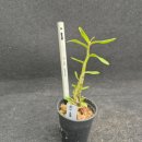 지일농장 이미지