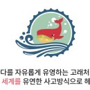 주식회사애자일소다 네이버블로그