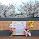 율하유적전시관(율하동 1407) | 김해 장유 율하 카페거리 벚꽃 율하 봄나들이 축제 방문 후기