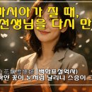 자작한시 白花飄雪憶師 (백화표설억사) 하얀 꽃이 눈처럼 날리니 스승이 그리워진다 이미지