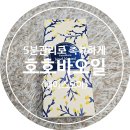 노화태권도 | 하루에 5분관리로 촉촉한 피부완성 페이스모아 호호바오일 사용후기