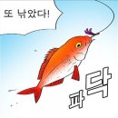 클릭 금지 닭갈비에 옛날통닭 (사진 없음) 먹고 귀가 이미지