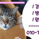 신촌마을회관 이미지