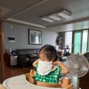 티타임 PC 이미지