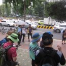 종합운동장 메타세콰이어길 이미지