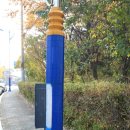 외동반림로 이미지