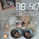 동방신통부부한의원 | When my heart is louder than my voice