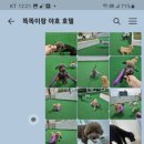 땡글땡굴 이미지