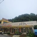 섬진강 솔밭이 보이는 풍경 | 인천 강화 보문사 맛집, 솔밭식당의 산채정식