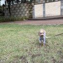 양산유치원 이미지