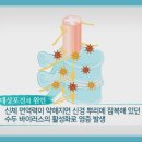 김찬병원 이미지