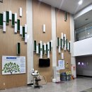 판교로228번길 | 수력 5개월차 수린이의 첫 자유수영 후기 | 판교스포츠센터