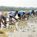 농업회사법인 유기농비건(주) 이미지