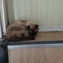 화부산로 이미지