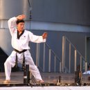 태권아리랑 이미지