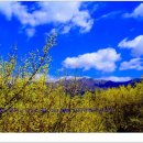 수지현진공인중개사사무소 이미지