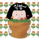 로즈버드플라워 이미지