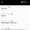 개꿀 이미지