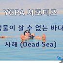 호수와바다 이미지